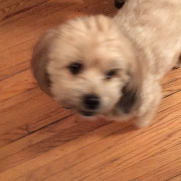 bookem1